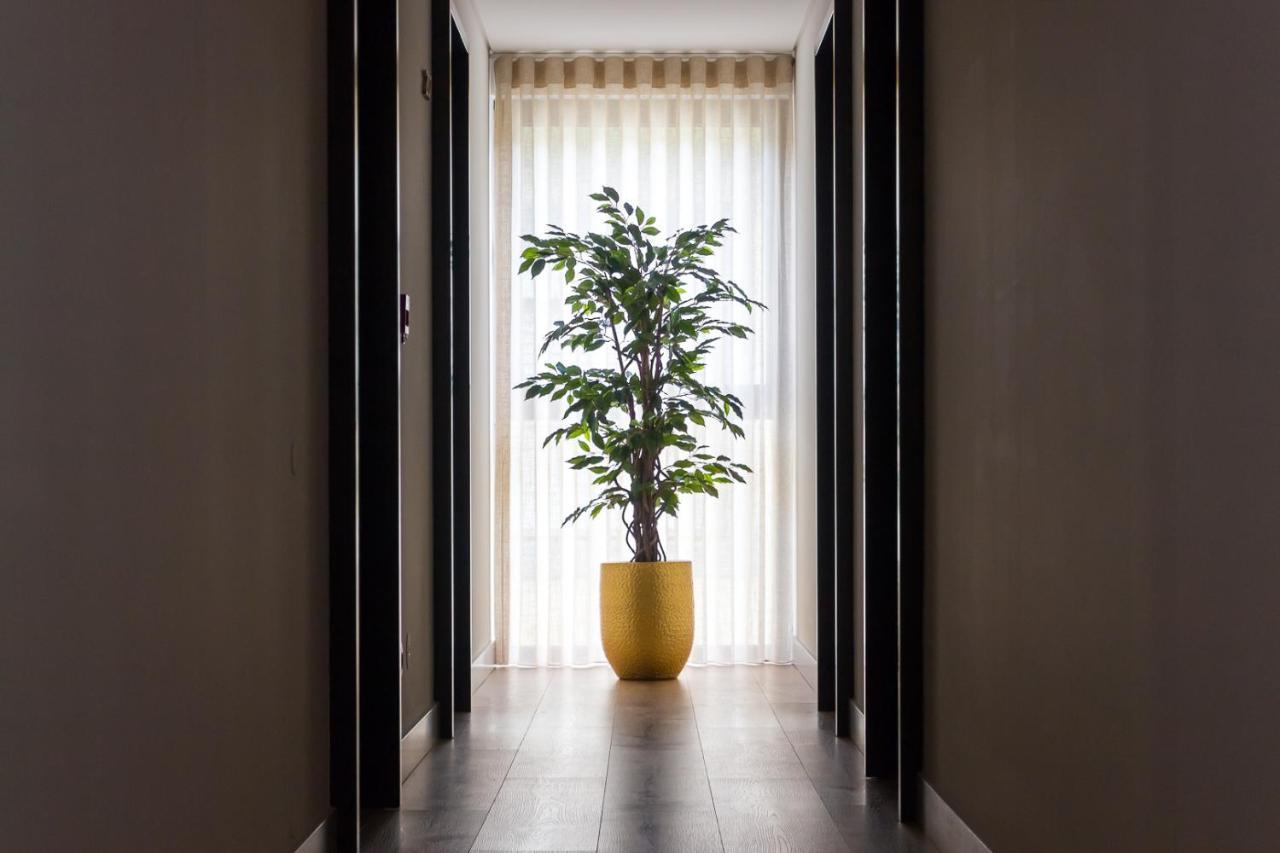 Ribeira House Panzió Mirandela Kültér fotó
