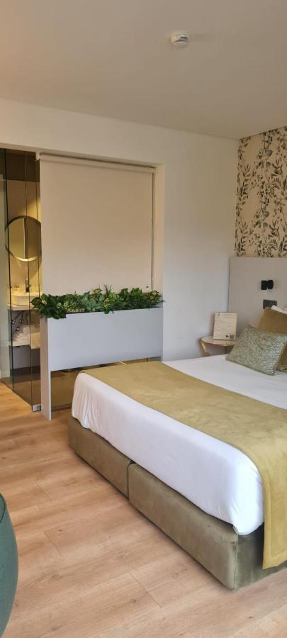 Ribeira House Panzió Mirandela Kültér fotó